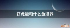 虾虎能和什么鱼混养