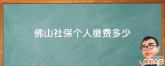 佛山社保个人缴费多少