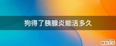 狗得了胰腺炎能活多久