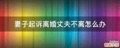 妻子起诉离婚丈夫不离怎么办