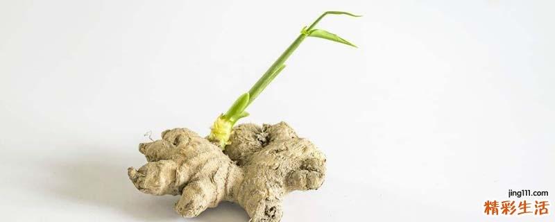 生姜发芽能吃吗