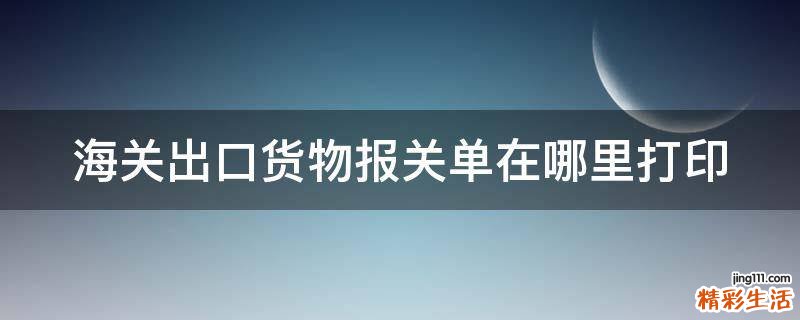 海关出口货物报关单在哪里打印