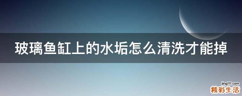 玻璃鱼缸上的水垢怎么清洗才能掉