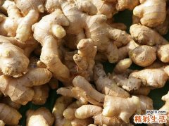 什么样的人吃姜最补