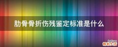 肋骨骨折伤残鉴定标准是什么