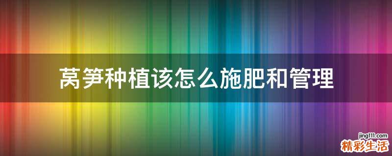 莴笋种植该怎么施肥和管理
