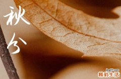 秋分日是几日几点几分
