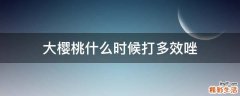 大樱桃什么时候打多效唑