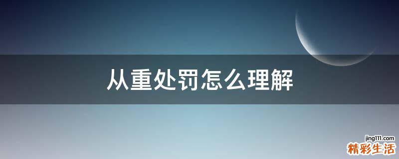从重处罚怎么理解