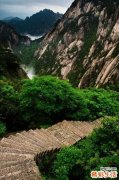 3 小黑药
