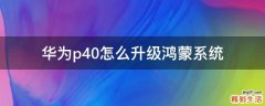 华为p40怎么升级鸿蒙系统