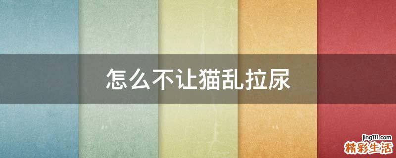 怎么不让猫乱拉尿
