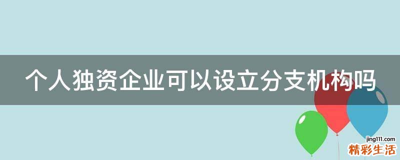 个人独资企业可以设立分支机构吗