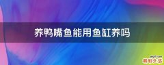 养鸭嘴鱼能用鱼缸养吗