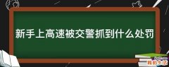 新手上高速被交警抓到什么处罚