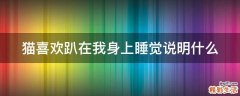 猫喜欢趴在我身上睡觉说明什么