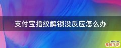 支付宝指纹解锁没反应怎么办