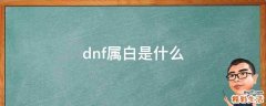 dnf属白是什么