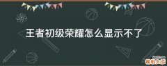 王者初级荣耀怎么显示不了