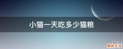 小猫一天吃多少猫粮