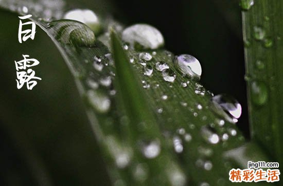 白露时节几月几日