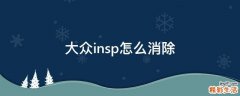 大众insp怎么消除