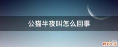 公猫半夜叫怎么回事