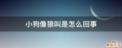 小狗像狼叫是怎么回事