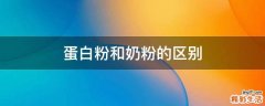 蛋白粉和奶粉的区别