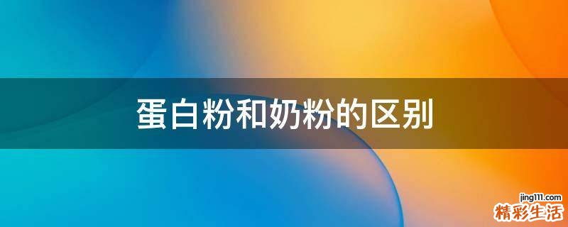 蛋白粉和奶粉的区别