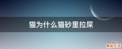 猫为什么猫砂里拉屎