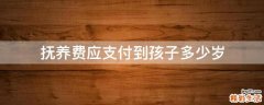 抚养费应支付到孩子多少岁
