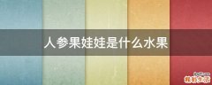 人参果娃娃是什么水果
