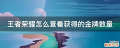 王者荣耀怎么查看获得的金牌数量