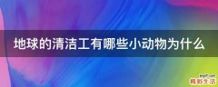 地球的清洁工有哪些小动物为什么