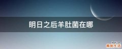 明日之后羊肚菌在哪