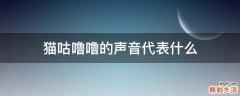 猫咕噜噜的声音代表什么