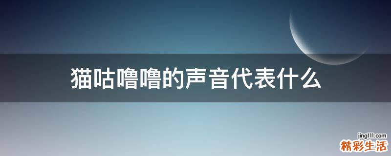 猫咕噜噜的声音代表什么