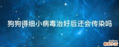 狗狗得细小病毒治好后还会传染吗