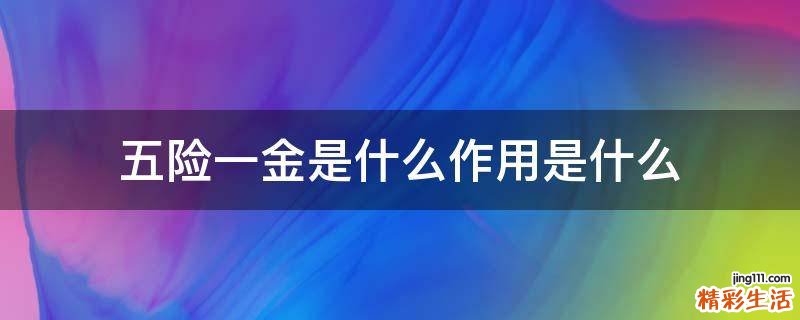 五险一金是什么作用是什么