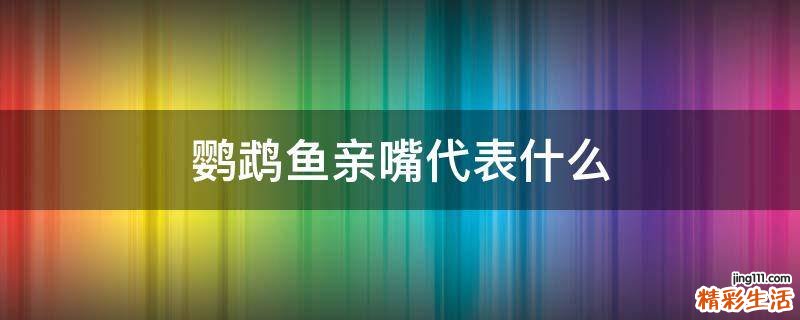 鹦鹉鱼亲嘴代表什么