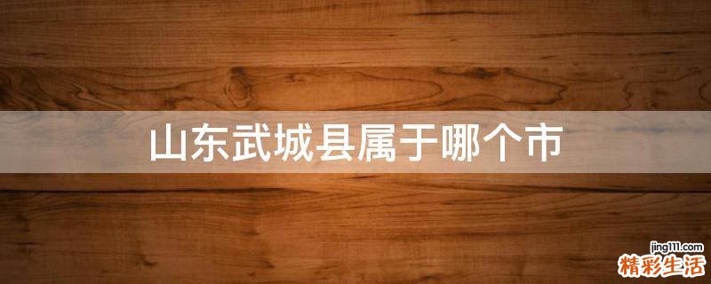山东武城县属于哪个市