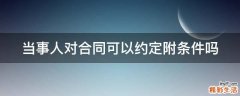 当事人对合同可以约定附条件吗