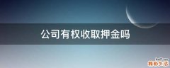 公司有权收取押金吗