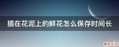 插在花泥上的鲜花怎么保存时间长