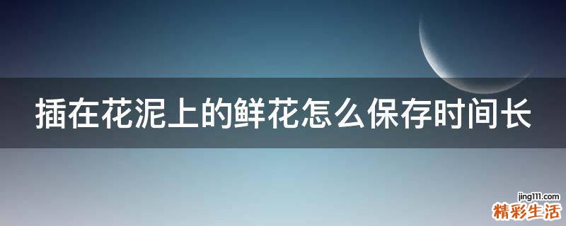 插在花泥上的鲜花怎么保存时间长
