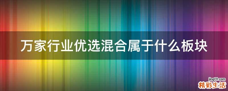 万家行业优选混合属于什么板块