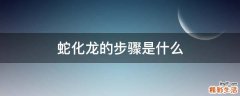 蛇化龙的步骤是什么