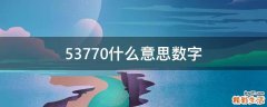 53770什么意思数字