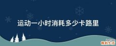 运动一小时消耗多少卡路里